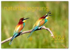 0-kalender-2024-sinzinger