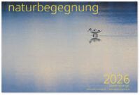 00-SinzingerKalender26_Titel_1000