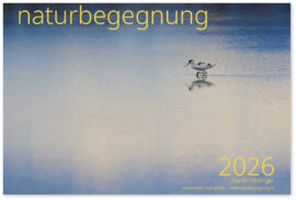 00-SinzingerKalender26_Titel_1000